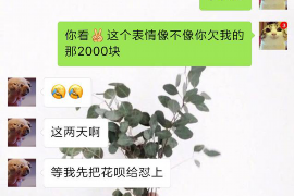 南充如果欠债的人消失了怎么查找，专业讨债公司的找人方法